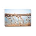 Picture of Fall Beach _GroupedProduct_Rectangle_Landscape_Photography _GroupedProduct_Rectangle_Landscape_Canvas_
