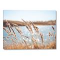 Picture of Fall Beach _GroupedProduct_Rectangle_Landscape_Photography _GroupedProduct_Rectangle_Landscape_Canvas_