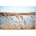 Picture of Fall Beach _GroupedProduct_Rectangle_Landscape_Photography _GroupedProduct_Rectangle_Landscape_Canvas_