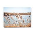 Picture of Fall Beach _GroupedProduct_Rectangle_Landscape_Photography _GroupedProduct_Rectangle_Landscape_Canvas_