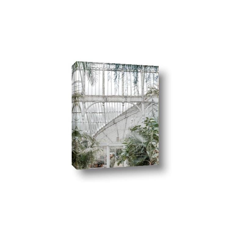 Picture of Green house IV _GroupedProduct_Rectangle_Portrait_Photography _GroupedProduct_Rectangle_Portrait_Canvas_