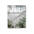 Picture of Green house IV _GroupedProduct_Rectangle_Portrait_Photography _GroupedProduct_Rectangle_Portrait_Canvas_