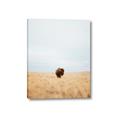 Picture of Field Guy _GroupedProduct_Rectangle_Portrait_Photography _GroupedProduct_Rectangle_Portrait_Canvas_