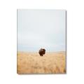 Picture of Field Guy _GroupedProduct_Rectangle_Portrait_Photography _GroupedProduct_Rectangle_Portrait_Canvas_