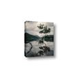 Picture of Tree Reflection _GroupedProduct_Rectangle_Portrait_Photography _GroupedProduct_Rectangle_Portrait_Canvas_