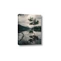 Picture of Tree Reflection _GroupedProduct_Rectangle_Portrait_Photography _GroupedProduct_Rectangle_Portrait_Canvas_
