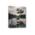 Picture of Tree Reflection _GroupedProduct_Rectangle_Portrait_Photography _GroupedProduct_Rectangle_Portrait_Canvas_