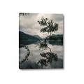 Picture of Tree Reflection _GroupedProduct_Rectangle_Portrait_Photography _GroupedProduct_Rectangle_Portrait_Canvas_