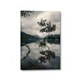 Picture of Tree Reflection _GroupedProduct_Rectangle_Portrait_Photography _GroupedProduct_Rectangle_Portrait_Canvas_