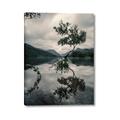 Picture of Tree Reflection _GroupedProduct_Rectangle_Portrait_Photography _GroupedProduct_Rectangle_Portrait_Canvas_