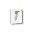 Picture of Dewey leaves _GroupedProduct_Rectangle_Portrait_Photography _GroupedProduct_Rectangle_Portrait_Canvas_