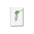 Picture of Dewey leaves _GroupedProduct_Rectangle_Portrait_Photography _GroupedProduct_Rectangle_Portrait_Canvas_