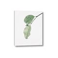 Picture of Dewey leaves _GroupedProduct_Rectangle_Portrait_Photography _GroupedProduct_Rectangle_Portrait_Canvas_