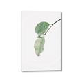 Picture of Dewey leaves _GroupedProduct_Rectangle_Portrait_Photography _GroupedProduct_Rectangle_Portrait_Canvas_