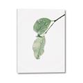 Picture of Dewey leaves _GroupedProduct_Rectangle_Portrait_Photography _GroupedProduct_Rectangle_Portrait_Canvas_