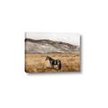 Picture of Mustard Grass Horse _GroupedProduct_Rectangle_Landscape_Photography _GroupedProduct_Rectangle_Landscape_Canvas_