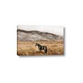 Picture of Mustard Grass Horse _GroupedProduct_Rectangle_Landscape_Photography _GroupedProduct_Rectangle_Landscape_Canvas_
