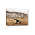 Picture of Mustard Grass Horse _GroupedProduct_Rectangle_Landscape_Photography _GroupedProduct_Rectangle_Landscape_Canvas_