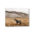 Picture of Mustard Grass Horse _GroupedProduct_Rectangle_Landscape_Photography _GroupedProduct_Rectangle_Landscape_Canvas_