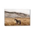 Picture of Mustard Grass Horse _GroupedProduct_Rectangle_Landscape_Photography _GroupedProduct_Rectangle_Landscape_Canvas_