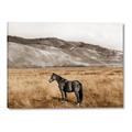 Picture of Mustard Grass Horse _GroupedProduct_Rectangle_Landscape_Photography _GroupedProduct_Rectangle_Landscape_Canvas_