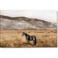 Picture of Mustard Grass Horse _GroupedProduct_Rectangle_Landscape_Photography _GroupedProduct_Rectangle_Landscape_Canvas_