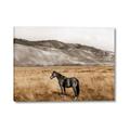 Picture of Mustard Grass Horse _GroupedProduct_Rectangle_Landscape_Photography _GroupedProduct_Rectangle_Landscape_Canvas_