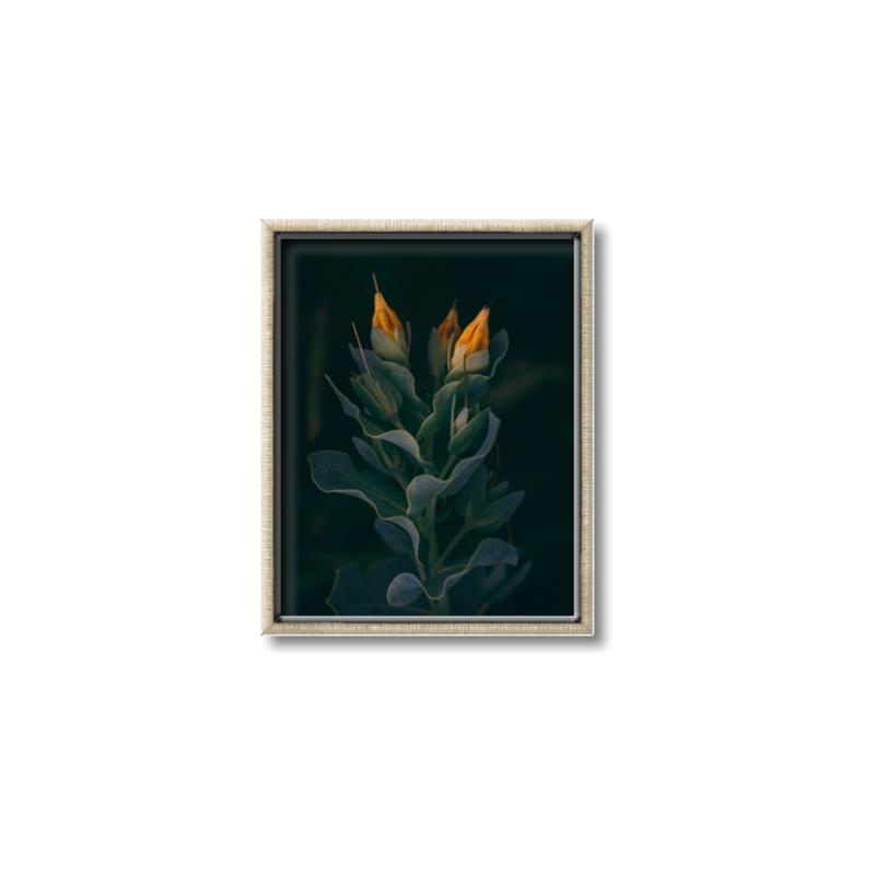 Picture of Tropical Bliss _GroupedProduct_Rectangle_Portrait_Photography _GroupedProduct_Rectangle_Portrait_Canvas_Framed_