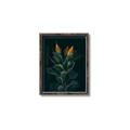 Picture of Tropical Bliss _GroupedProduct_Rectangle_Portrait_Photography _GroupedProduct_Rectangle_Portrait_Canvas_Framed_