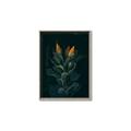 Picture of Tropical Bliss _GroupedProduct_Rectangle_Portrait_Photography _GroupedProduct_Rectangle_Portrait_Canvas_Framed_