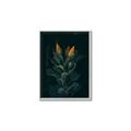 Picture of Tropical Bliss _GroupedProduct_Rectangle_Portrait_Photography _GroupedProduct_Rectangle_Portrait_Canvas_Framed_
