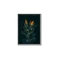 Picture of Tropical Bliss _GroupedProduct_Rectangle_Portrait_Photography _GroupedProduct_Rectangle_Portrait_Canvas_Framed_