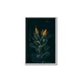 Picture of Tropical Bliss _GroupedProduct_Rectangle_Portrait_Photography _GroupedProduct_Rectangle_Portrait_Canvas_Framed_