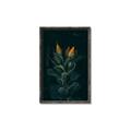 Picture of Tropical Bliss _GroupedProduct_Rectangle_Portrait_Photography _GroupedProduct_Rectangle_Portrait_Canvas_Framed_