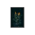 Picture of Tropical Bliss _GroupedProduct_Rectangle_Portrait_Photography _GroupedProduct_Rectangle_Portrait_Canvas_Framed_