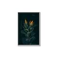 Picture of Tropical Bliss _GroupedProduct_Rectangle_Portrait_Photography _GroupedProduct_Rectangle_Portrait_Canvas_Framed_