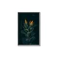 Picture of Tropical Bliss _GroupedProduct_Rectangle_Portrait_Photography _GroupedProduct_Rectangle_Portrait_Canvas_Framed_
