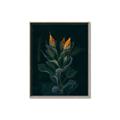Picture of Tropical Bliss _GroupedProduct_Rectangle_Portrait_Photography _GroupedProduct_Rectangle_Portrait_Canvas_Framed_