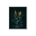 Picture of Tropical Bliss _GroupedProduct_Rectangle_Portrait_Photography _GroupedProduct_Rectangle_Portrait_Canvas_Framed_