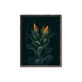 Picture of Tropical Bliss _GroupedProduct_Rectangle_Portrait_Photography _GroupedProduct_Rectangle_Portrait_Canvas_Framed_