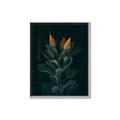 Picture of Tropical Bliss _GroupedProduct_Rectangle_Portrait_Photography _GroupedProduct_Rectangle_Portrait_Canvas_Framed_