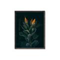 Picture of Tropical Bliss _GroupedProduct_Rectangle_Portrait_Photography _GroupedProduct_Rectangle_Portrait_Canvas_Framed_