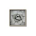 Picture of Eye of the Succulent _GroupedProduct_Square_Photography _GroupedProduct_Square_Canvas_Framed_