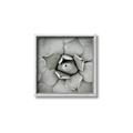 Picture of Eye of the Succulent _GroupedProduct_Square_Photography _GroupedProduct_Square_Canvas_Framed_