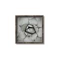 Picture of Eye of the Succulent _GroupedProduct_Square_Photography _GroupedProduct_Square_Canvas_Framed_