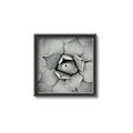 Picture of Eye of the Succulent _GroupedProduct_Square_Photography _GroupedProduct_Square_Canvas_Framed_