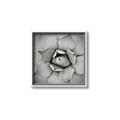 Picture of Eye of the Succulent _GroupedProduct_Square_Photography _GroupedProduct_Square_Canvas_Framed_