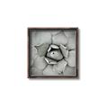 Picture of Eye of the Succulent _GroupedProduct_Square_Photography _GroupedProduct_Square_Canvas_Framed_