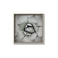 Picture of Eye of the Succulent _GroupedProduct_Square_Photography _GroupedProduct_Square_Canvas_Framed_