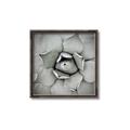 Picture of Eye of the Succulent _GroupedProduct_Square_Photography _GroupedProduct_Square_Canvas_Framed_
